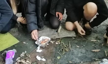 Outdoor learning fire 1