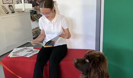 Bella library (2)
