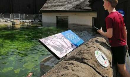 Marwell 1