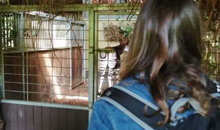 Marwell 8