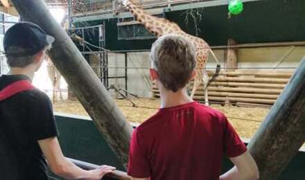 Marwell 10
