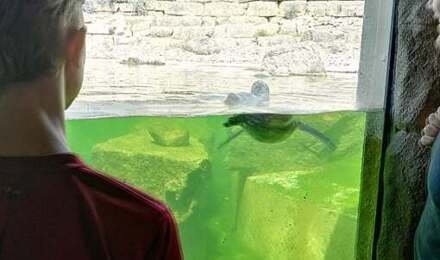 Marwell 12
