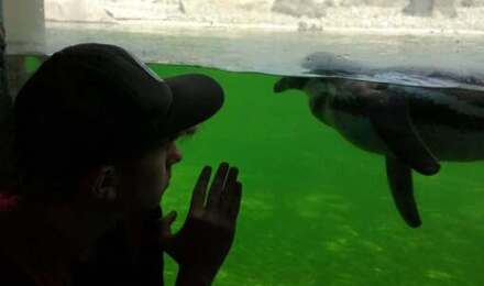 Marwell 13