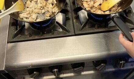 Brazilian chicken y8 1